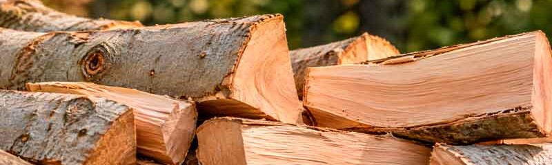 Buchen Brennholz aus Grafing