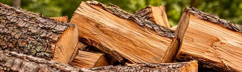 Eichen Brennholz aus Grafing
